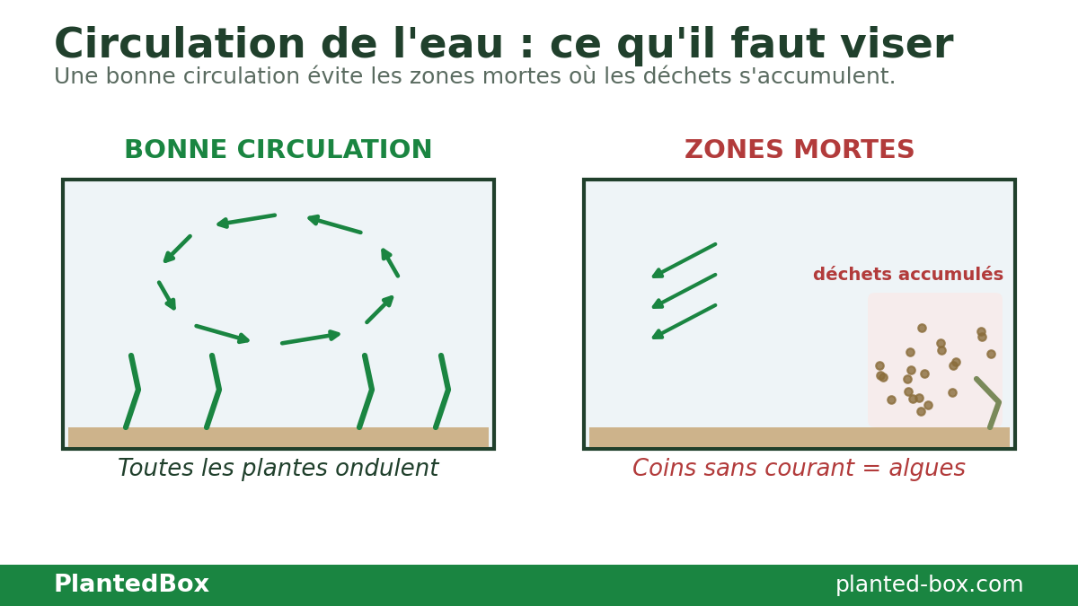 Zones mortes dans l'aquarium