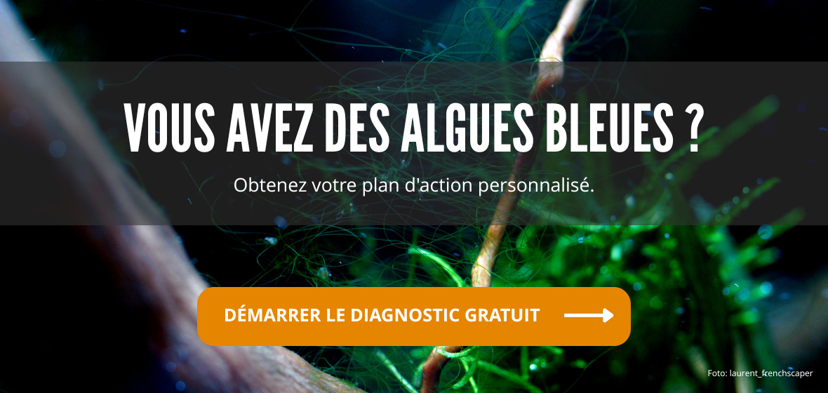 PlantedBox algues bleues - outil anti-algues