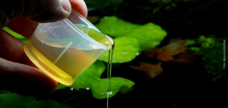 aquarium plantenvoeding gids