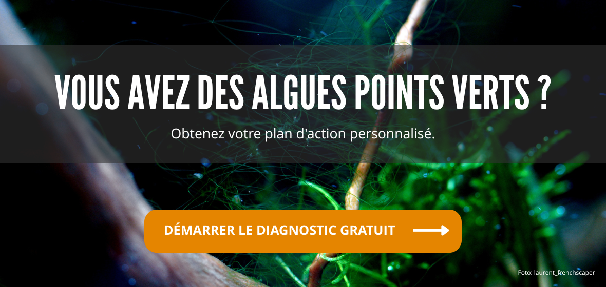 PlantedBox algues points verts - outil anti-algues