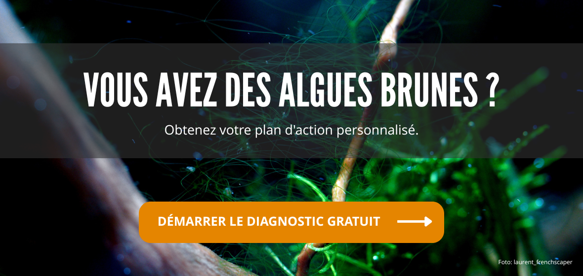 PlantedBox algues brunes - outil anti-algues