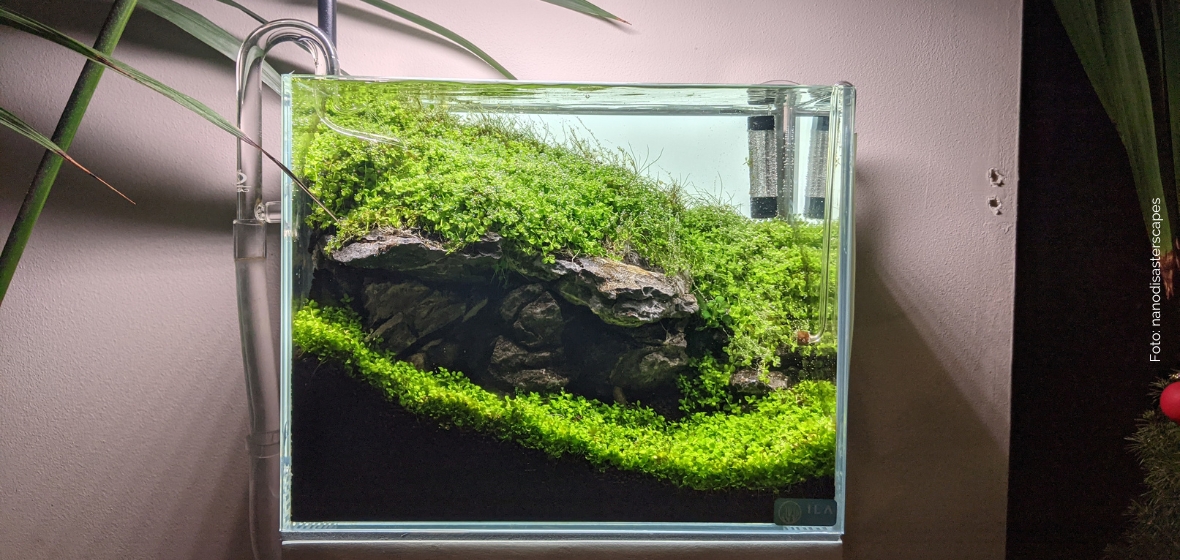 Choosing the best aquarium substrate PlantedBox