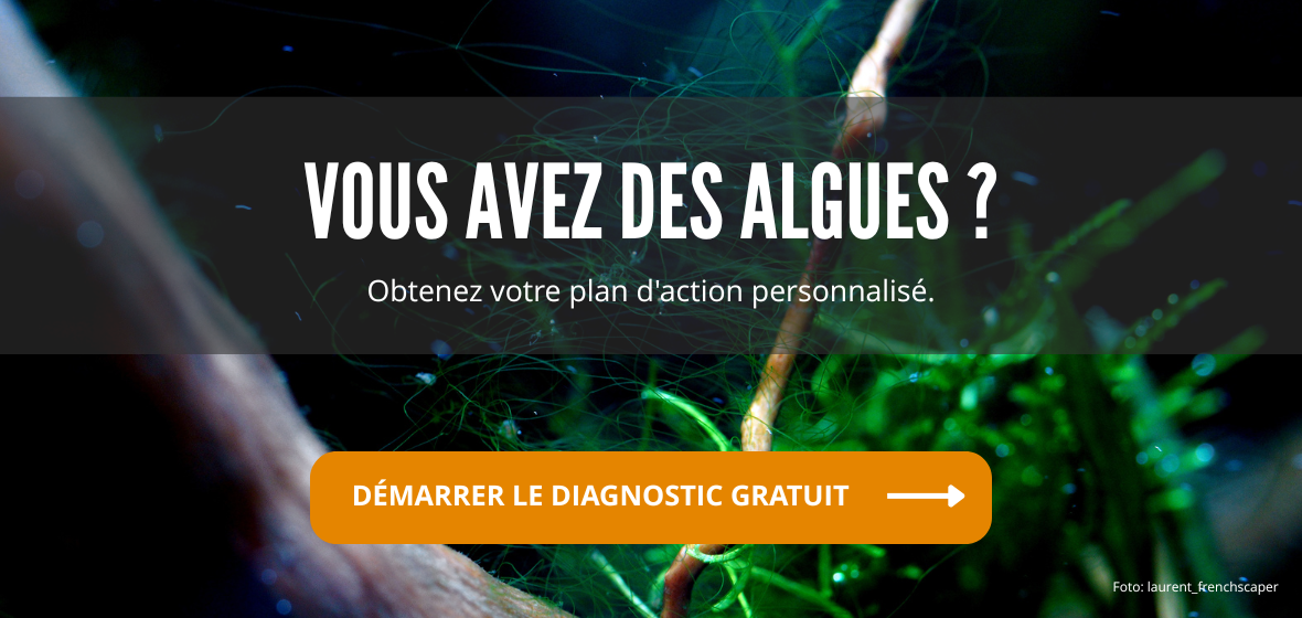 PlantedBox algues - outil anti-algues