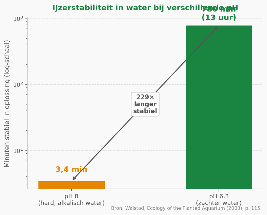 Aquarium plantenvoeding: de complete gids voor plantenaquaria | PlantedBox
