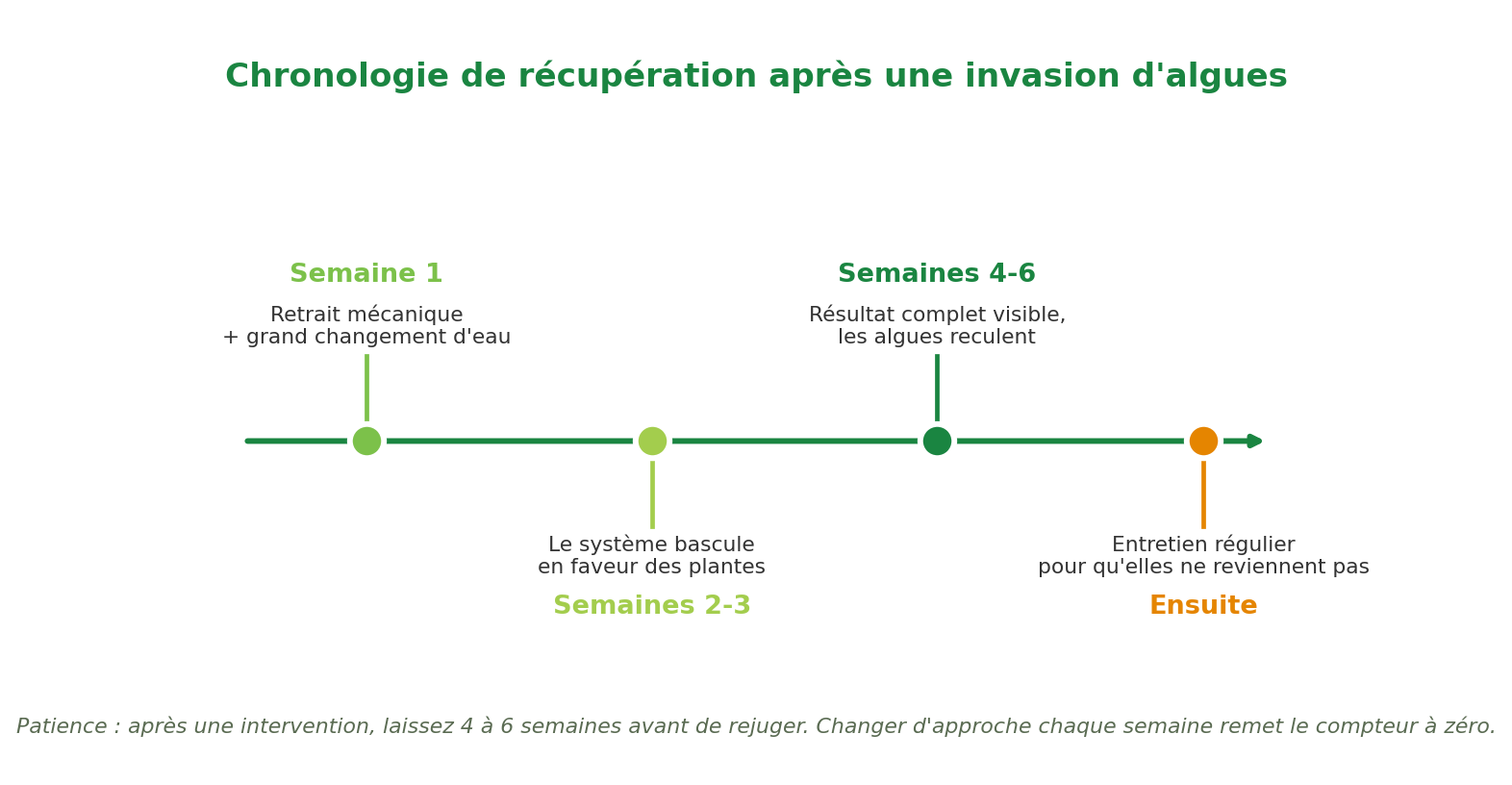 Lutte contre les algues dans l'aquarium : une chronologie