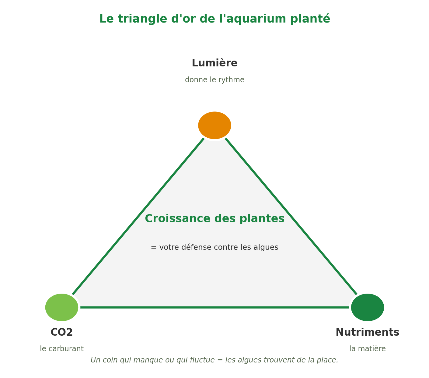 Le triangle de l'aquarium : nutriments, CO2 & lumière