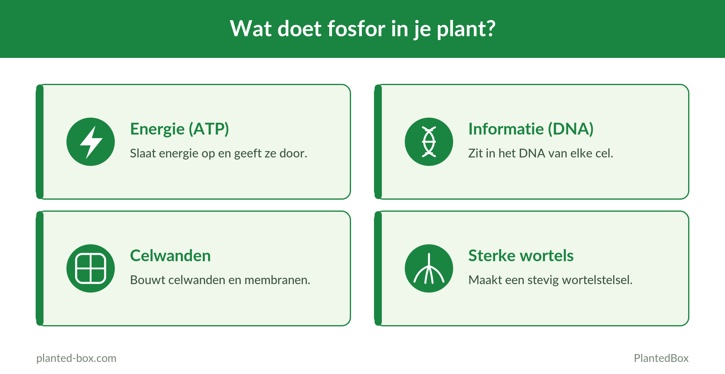 Wat doet fosfaat voor je aquariumplanten